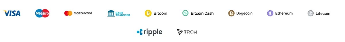 Payment methods icons: Visa, Maestro, Mastercard, Bank Transfer, Bitcoin, Bitcoin Cash, Dogecoin, Ethereum, Litecoin, Ripple, and TRON.